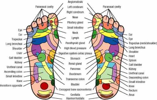 What Your Feet Are Telling You!